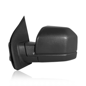 Ford F150 Side Mirror 2015-2020 - Qingchijun