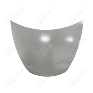 2017-2023 Tesla Model 3 Hood OEM1081390-E0-C - Qingchijun